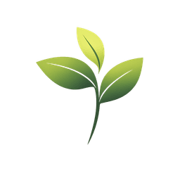 2D Montessori Logo